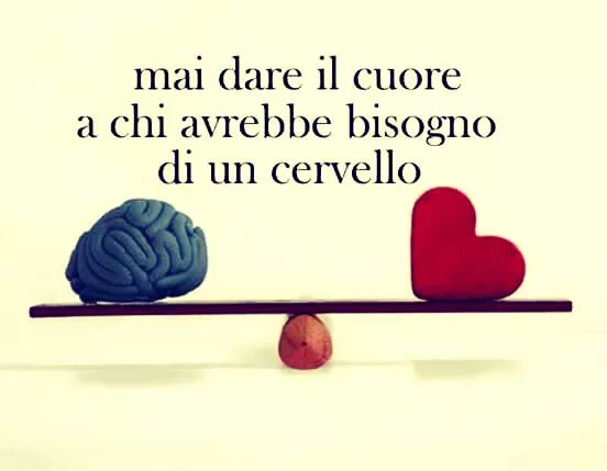 VirginiaLazzer1's tweet photo. https://t.co/NuhaJy2Xd8