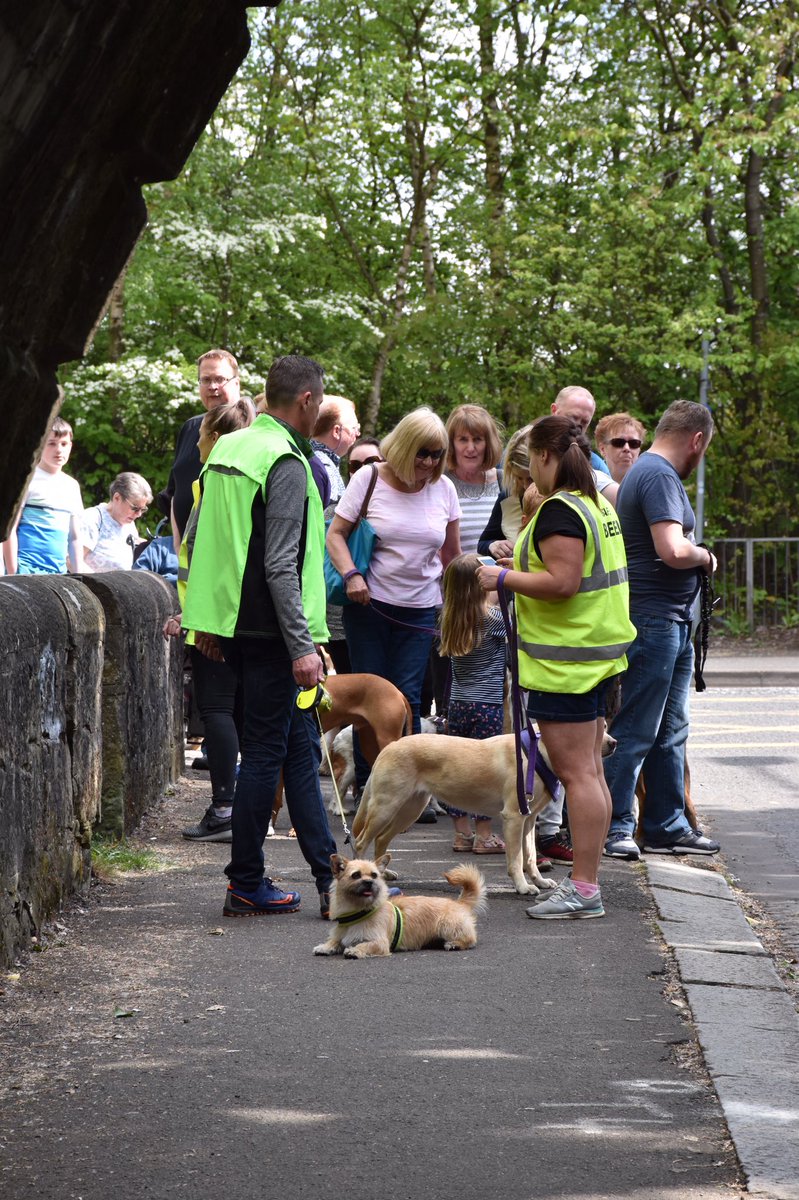 findinggobi's tweet photo. Great day out supporting @canine_partners Bluebell walk,Glasgow.Raising Money,amazing animals helping amazing people https://t.co/DfjGANCJtz https://t.co/ltFSdwPvly