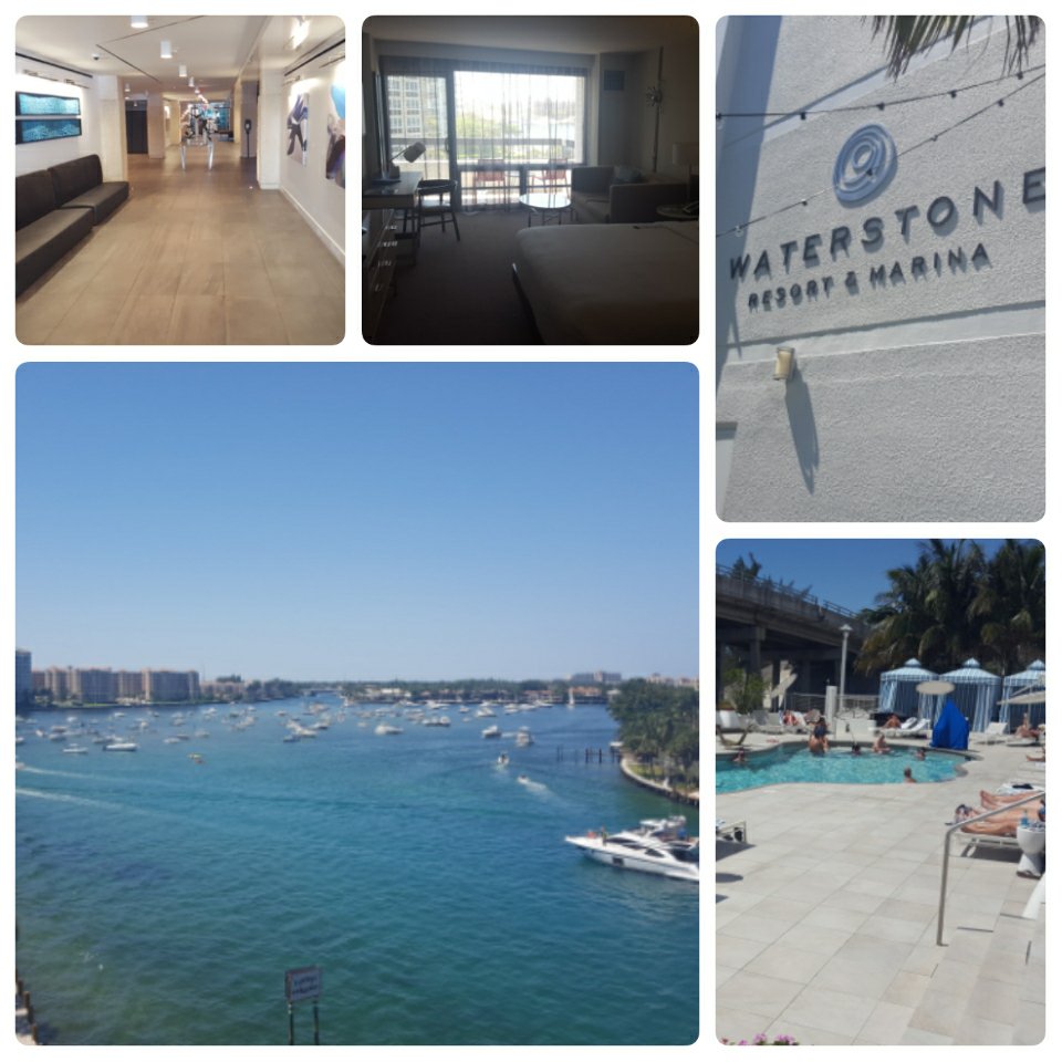 Craig Aynsley tweet media