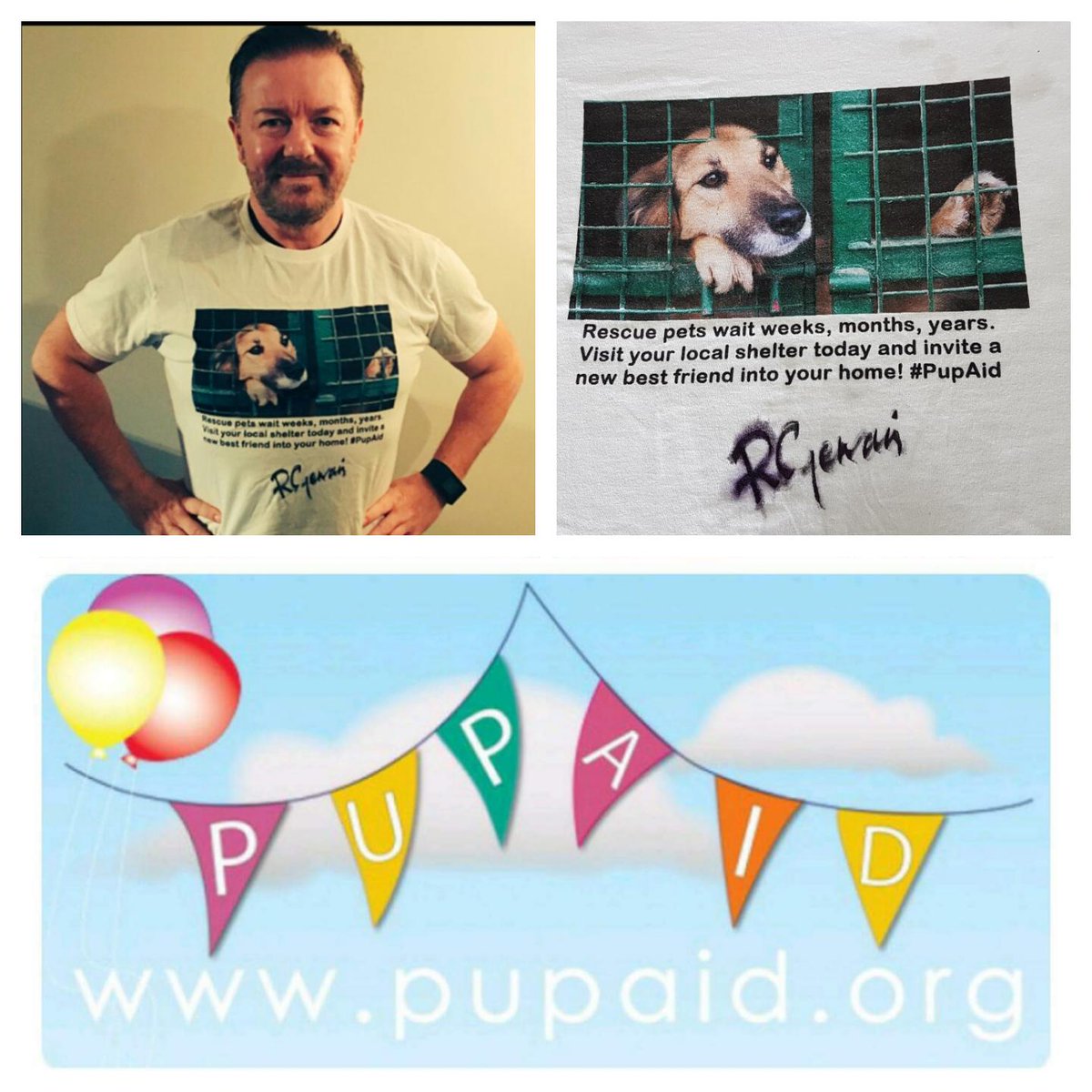 Auctioning a t-shirt signed by @RickyGervais in aid of @PupAid. Bid now at ln.is/jX6sZ #Ado... by #rickygervais via <a href="/c0nvey/">Convey</a>