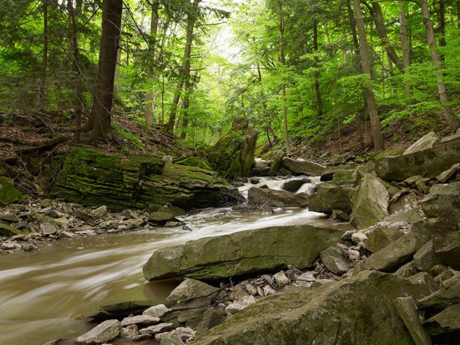 TravelzooCanada's tweet photo. Tip 95: Alistair recommends seeing Beamer Memorial Conservation Area in #Grimsby, Ont. and the "magnificent" #BeamerFalls. #150TzooTips https://t.co/2if5SHHjSW