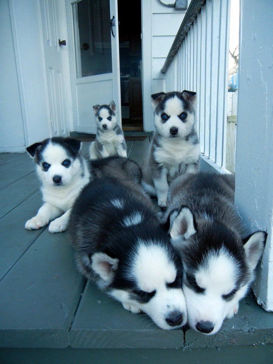 We’re here for the treats