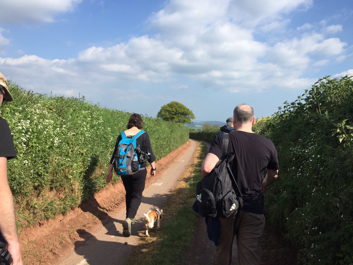 ExpNarrative's tweet image. Pilgrimage to tree on horizon insight. Fantastic journey through imagined &amp;amp; felt places expertly created by @Mythogeography @TOPOSExeter