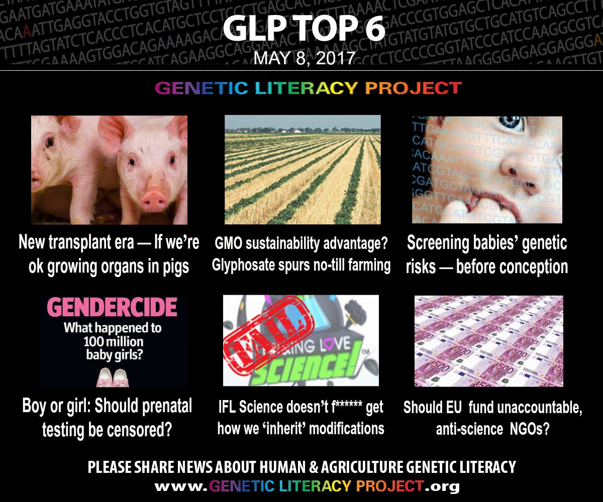 GeneticLiteracy's tweet photo. From this past week, here are the #GLPTop6 among many great stories on human and agricultural genetics: https://t.co/AwilSFnIXU https://t.co/DVq5t6bGWO