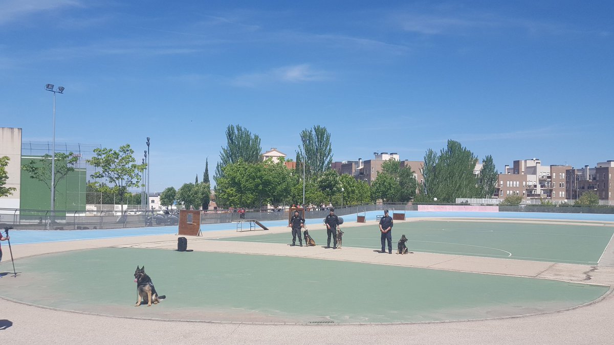 Preciosa exhibición de"perros policía"hoy en la Jornada de la Infancia.
Charlie, el Perro Policíal de #Arganda como protagonista!