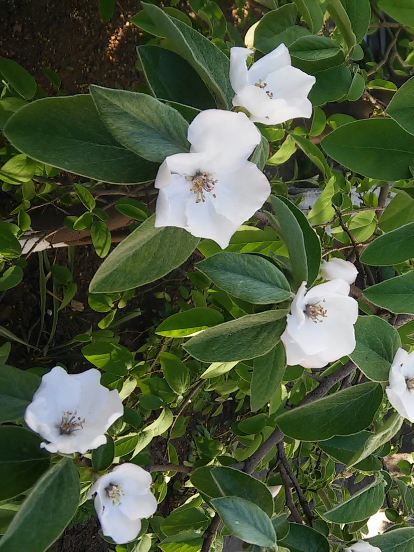 MIgorIv's tweet image. 