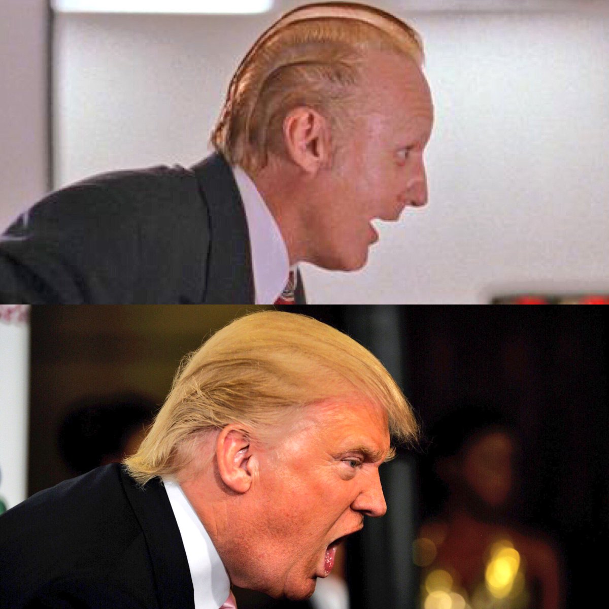Matt Ranaudo on Twitter: "One is the Commander-In-Chief, the other is King  Koopa from Super Mario Bros. Can you tell who's who?? #presidential #trump  #mario #twins… https://t.co/G1jZRxwrw2"