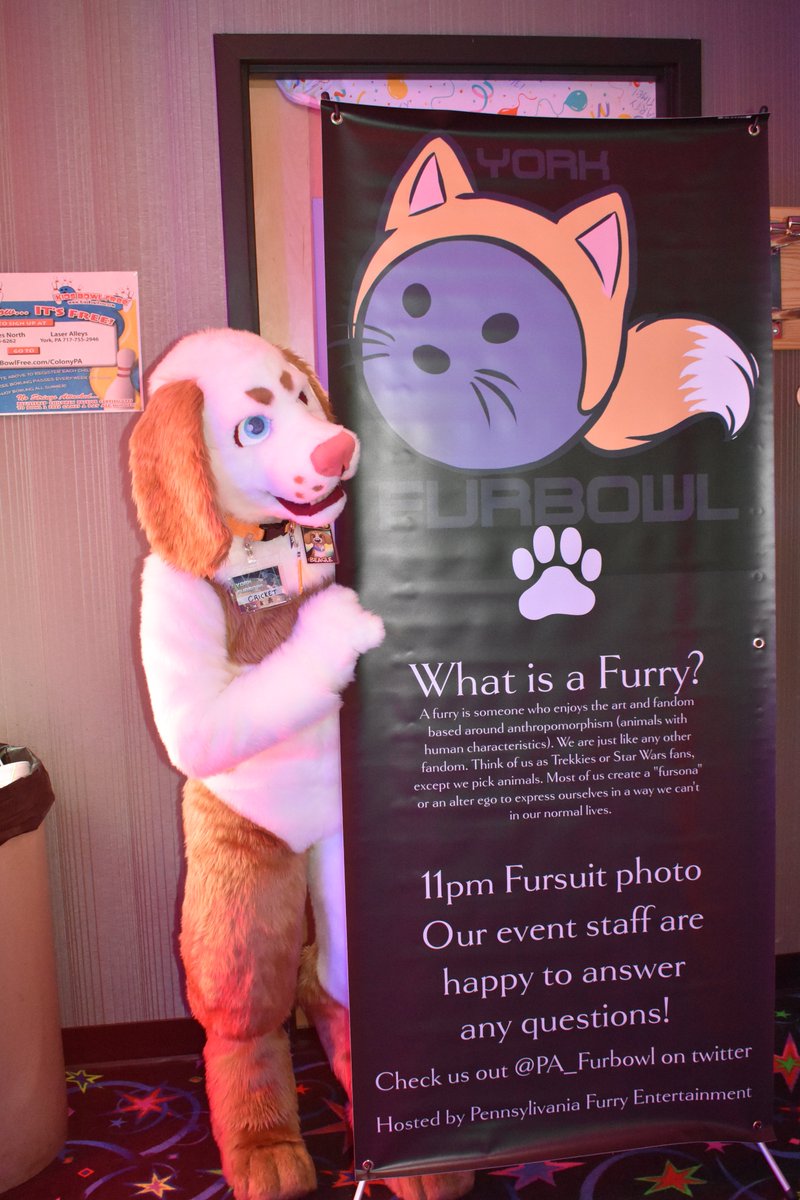 Wytyger_'s tweet photo. @PA_Furbowl York Furbowl 15! @Cricketdeer https://t.co/2yCfJ7EexZ