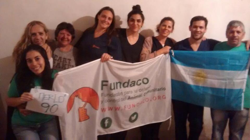 PerrosdeMerlo's tweet photo. #fundaco castrando en #Merlo. 👏👏👏👏👏👏❤️❤️❤️❤️
https://t.co/ZFJqPUgb9O https://t.co/4vN3H5p3wl