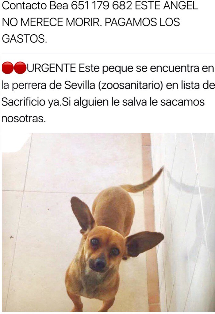 beadifusiones's tweet photo. @perezreverte https://t.co/OtZaYLfa89
