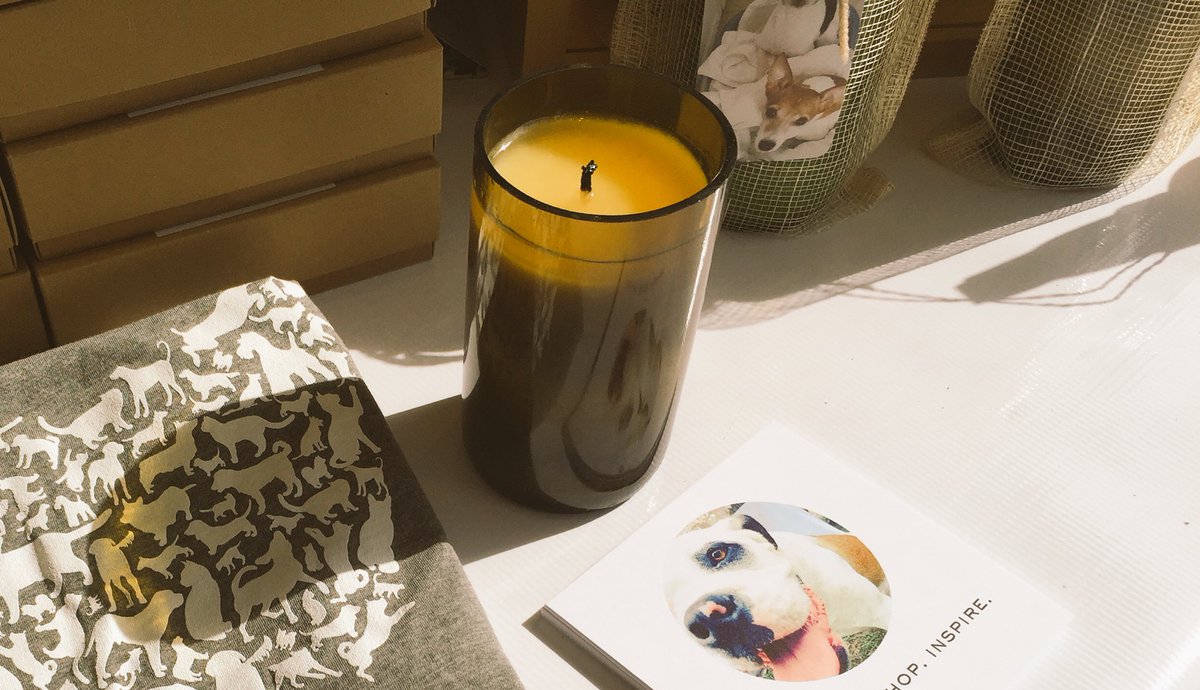 ProjectGroom's tweet photo. Clean up all the doggies! #ProjectGroom buy your candles today! https://t.co/JiTDMWIlRD https://t.co/ISoDc7OFAy