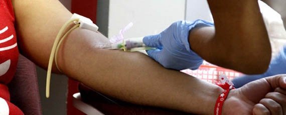 RED92cadadiamas's tweet photo. 💉 #LaPlata Convocan a donar sangre el próximo sábado ⬇️https://t.co/Ze0BrKA8bb https://t.co/M4bcpnLPGg