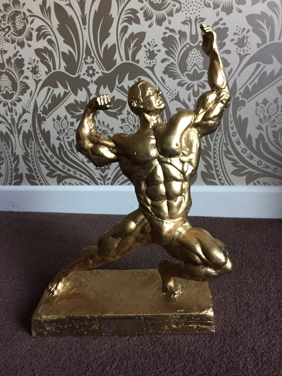 LDwayre's tweet photo. NABBA Class 2 1st place 2017 https://t.co/nalQmfEHTA