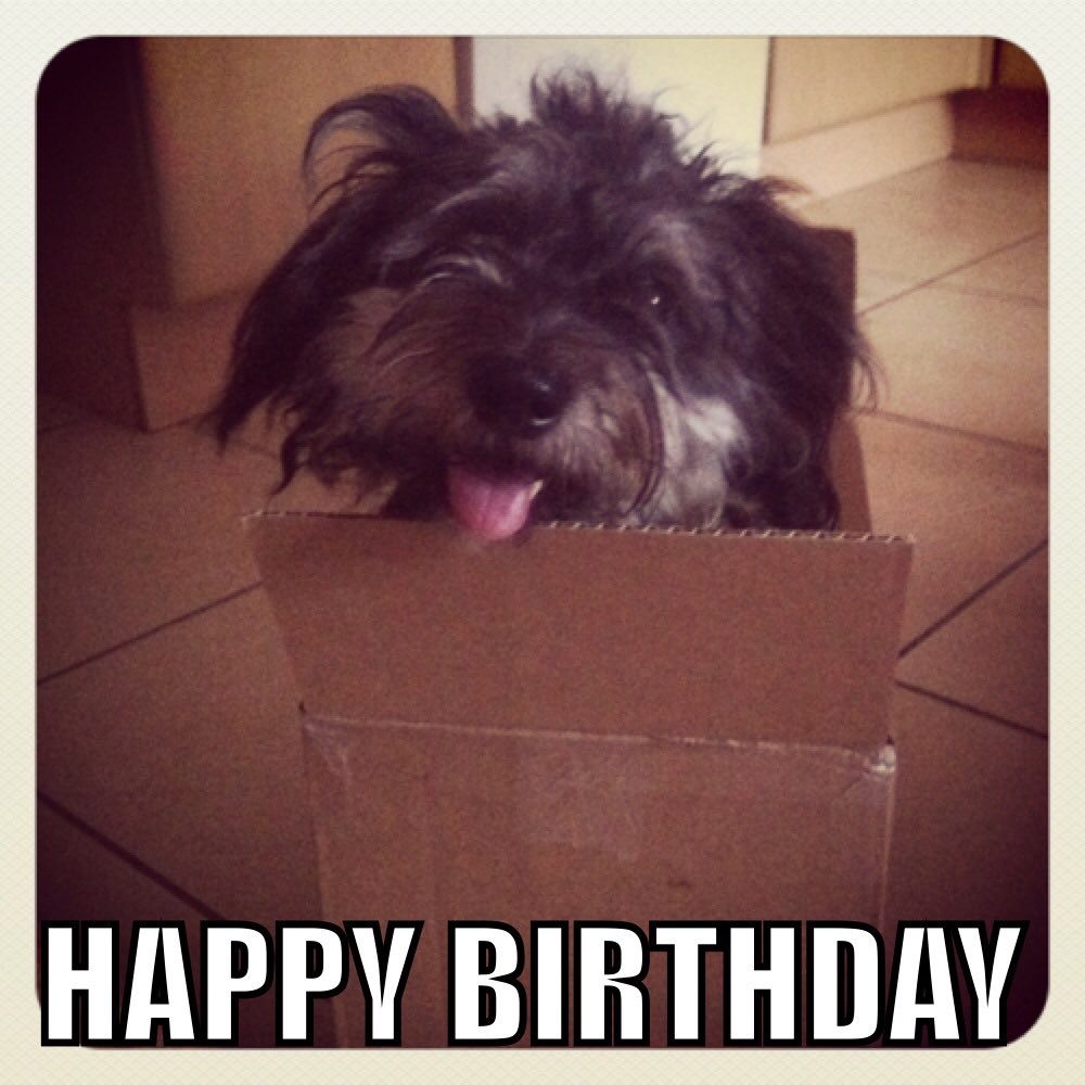  Happy Birthday Earl! Lots of love heading your way from Austria!    