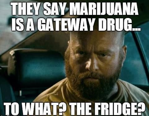 RedEyesOnline's tweet photo. They say marijuana is a gateway drug...
To what? The fridge?
#GatewayDrug #REO https://t.co/ILg90C6SR2