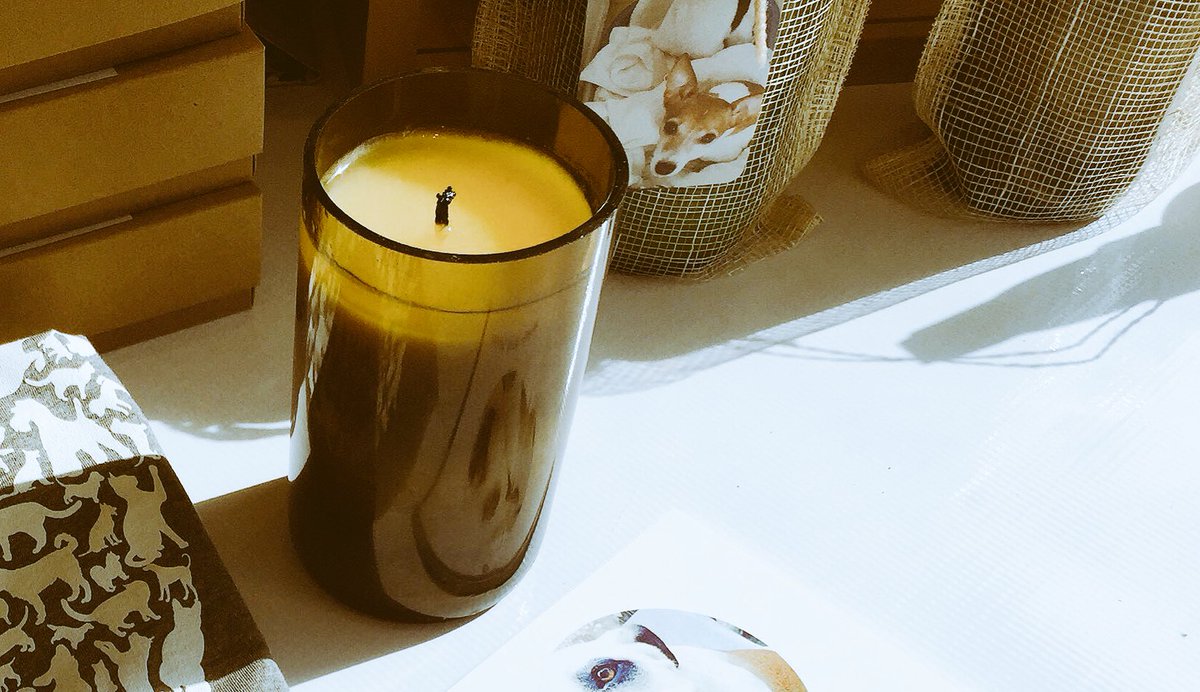 ProjectGroom's tweet photo. Let's play a game! 🐶 #follo for #giveaway 🕯 https://t.co/7riXk6GTsv