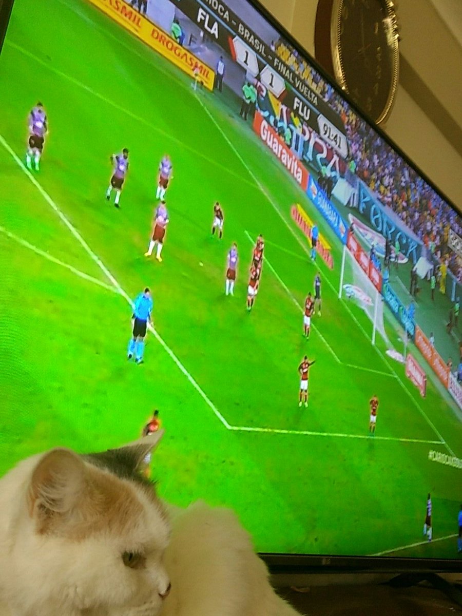 #cariocaxgoltv saludos desde Perú, sin trans!!!!