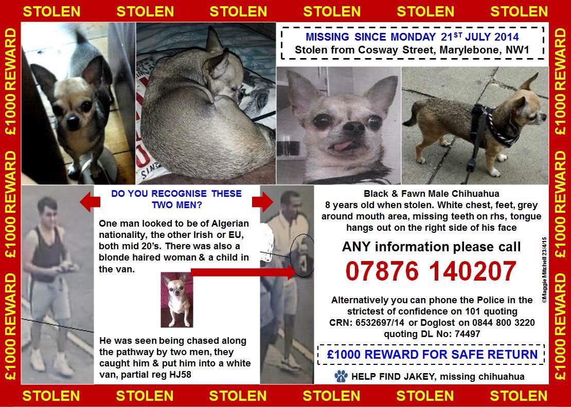 LisaLisaw1's tweet photo. π #FindJakey #MissingDog 21.07.14 #Marylebone #London #ChiSunday @find_jakey #ScanMe #StopPetTheft π https://t.co/0qZBrLHm8s