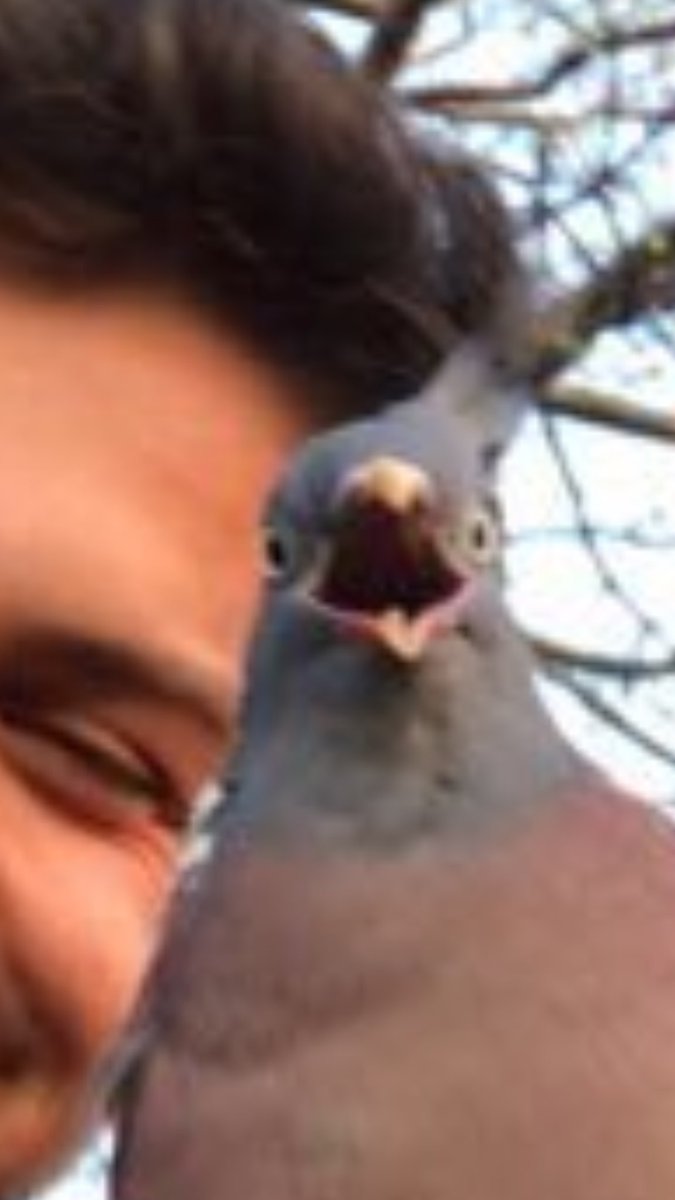 JDF129's tweet photo. Not gonna lie it's gets funnier for me https://t.co/hxzeJUP3lT