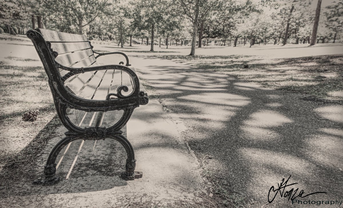 apexphotographs's tweet photo. Patiently Waiting. #Park #Bench #Outdoors #BlackAndWhite #Simple #Path #Trees #Patience #Classic #Photography #500pxrtg #RJPhotographyUK https://t.co/Myq8m3zjeW