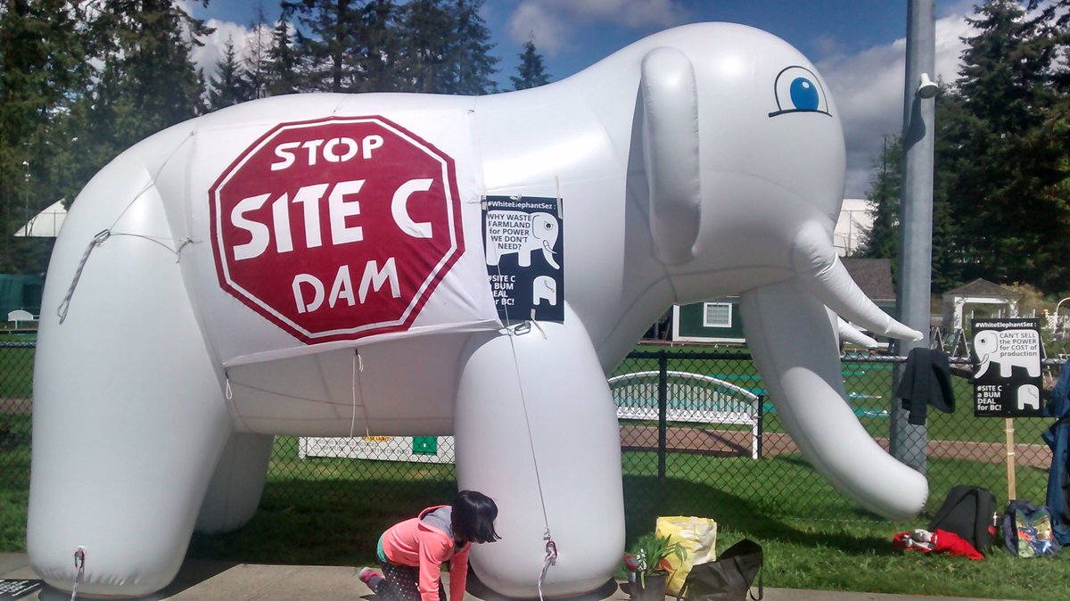 GeofferyKehrig's tweet photo. At @CoquitlamMarket today & saw @w_elephantsez. Cite C dam projected to cost $8.8 billion & 70 yrs to pay. #WhiteElephantSez #StopCiteC #Dam https://t.co/Vl1wUXzT2V