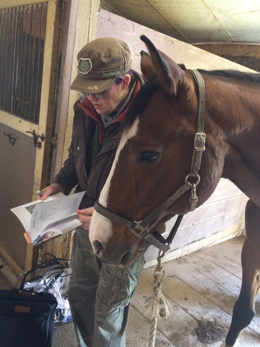DressageAmanda9's tweet photo. Second Treatment a Success! #WessonNaturalTherapy #SIJOINT #TRAPEZIUSMUSCLE #2ndlevelprep #dressagesuperstar #rocktape https://t.co/19RUOA62WP
