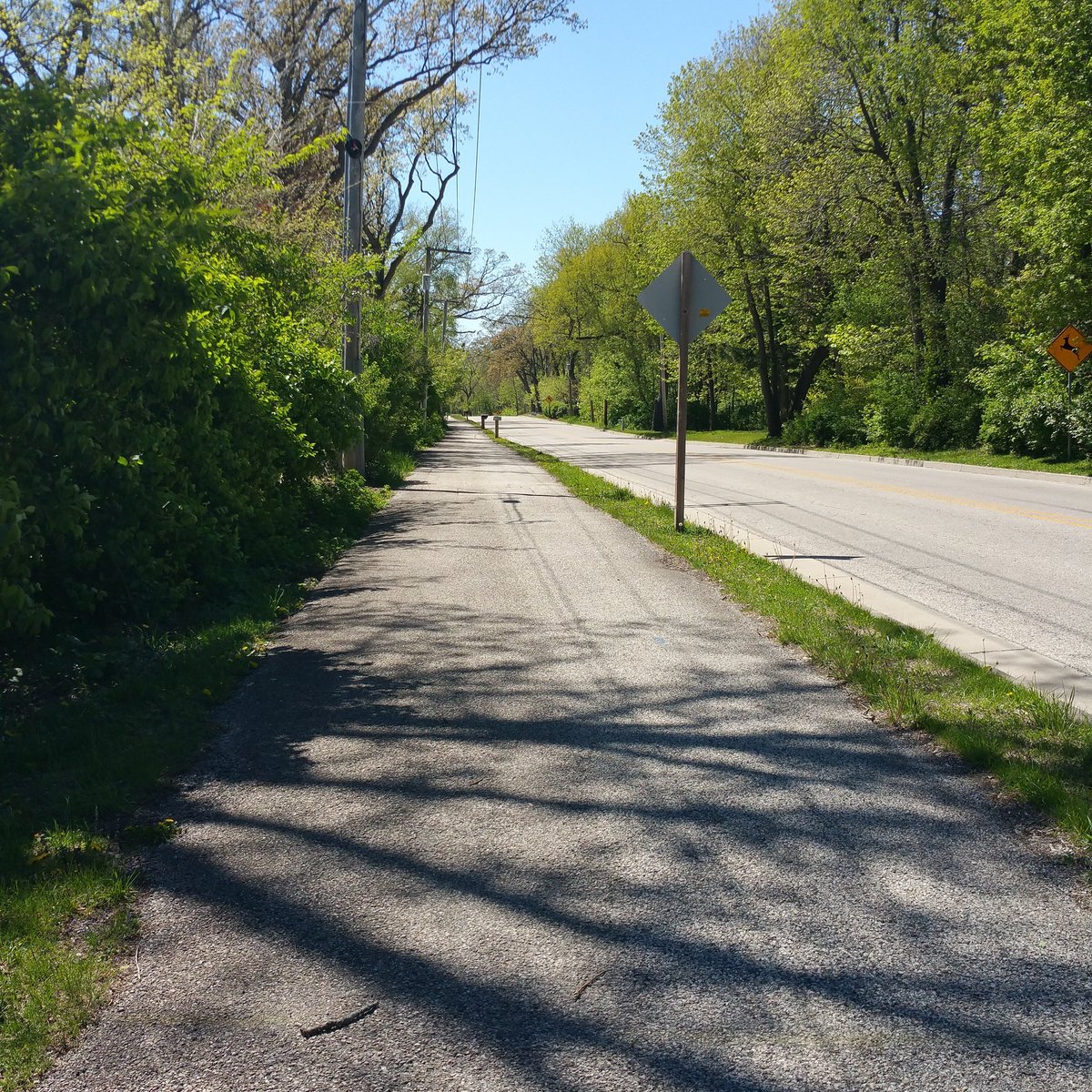 MarieBaker_'s tweet photo. Perfect day for a jog/walk! 

#walking #workout #fitnessjourney #fitfam #pushyourself #outdoors #healthy #fitness #progress #results https://t.co/lFRwaMGnM3