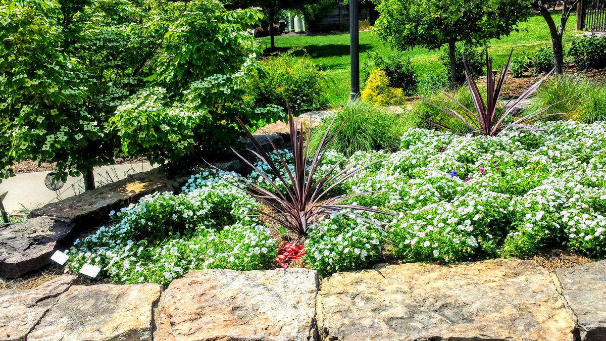 vw_source's tweet image. A great afternoon @BGOzarks.