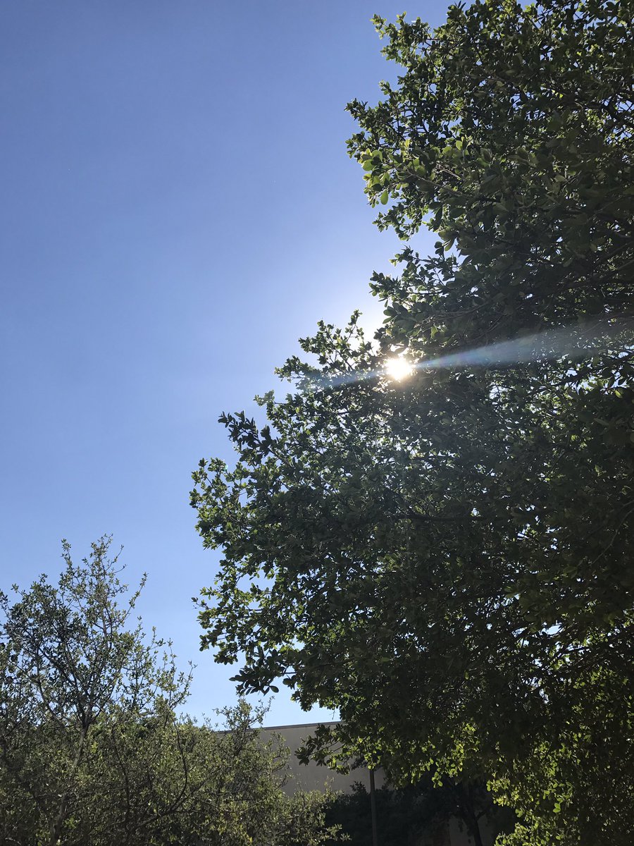 GetRiskPro's tweet image. Like the sun in Texas, let your advisors SHINE with RiskPro!  #DocupaceVision2017 #fintech