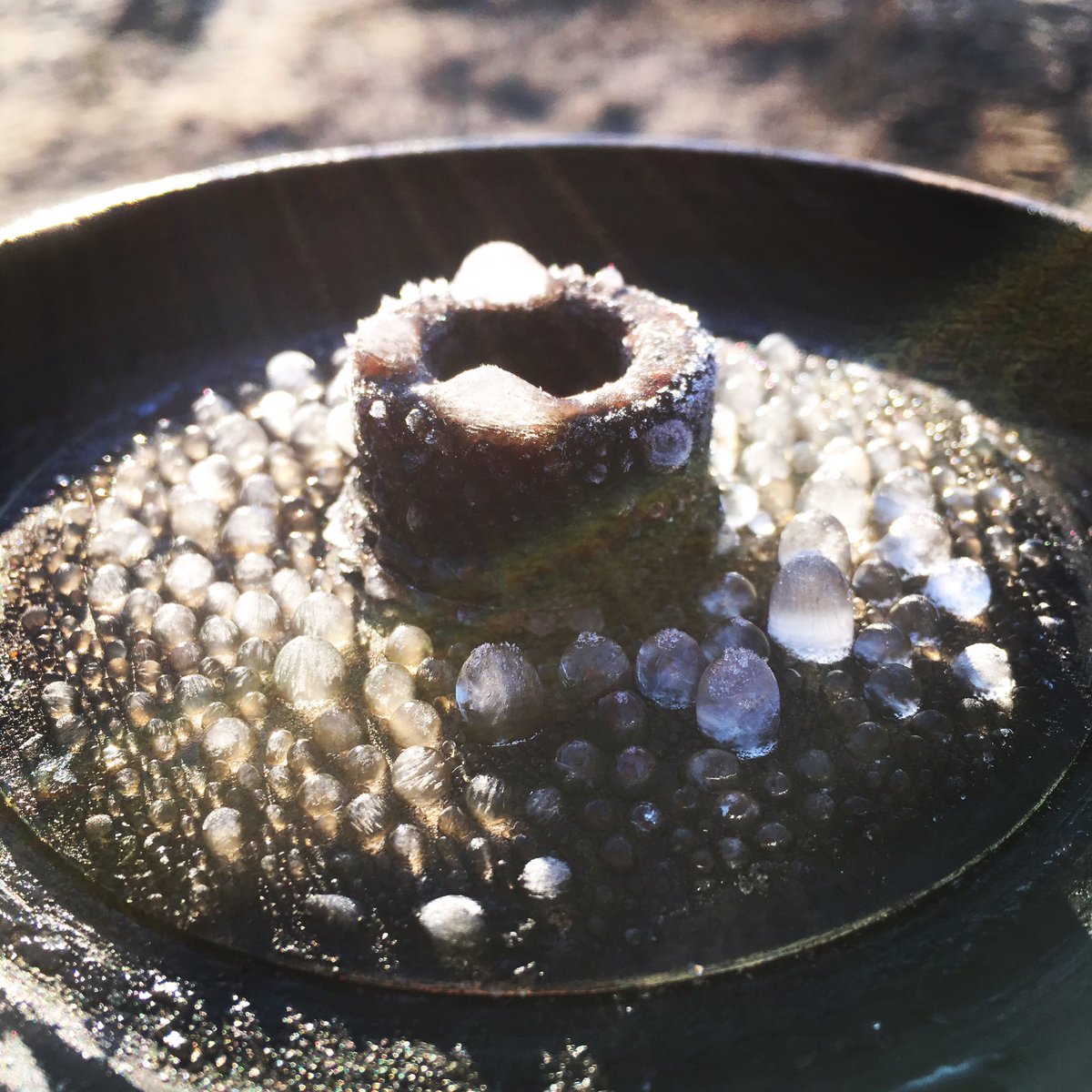 Monica Beets (@monicabeets) | ट्विटर