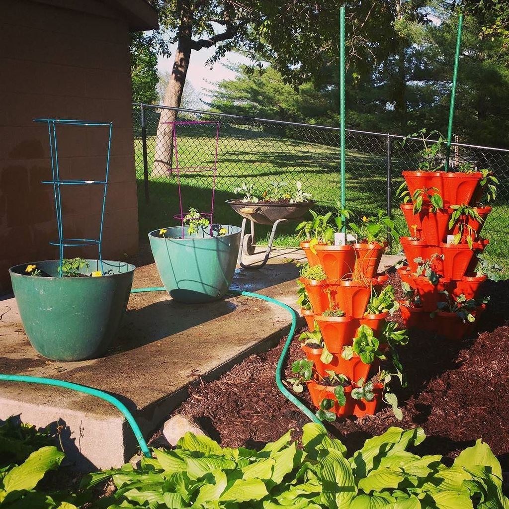 xScienceLadyx's tweet photo. Check out this vertical gardening my family is trying out this year :) https://t.co/y9TcVxJrzp https://t.co/pl2rwSIRuc