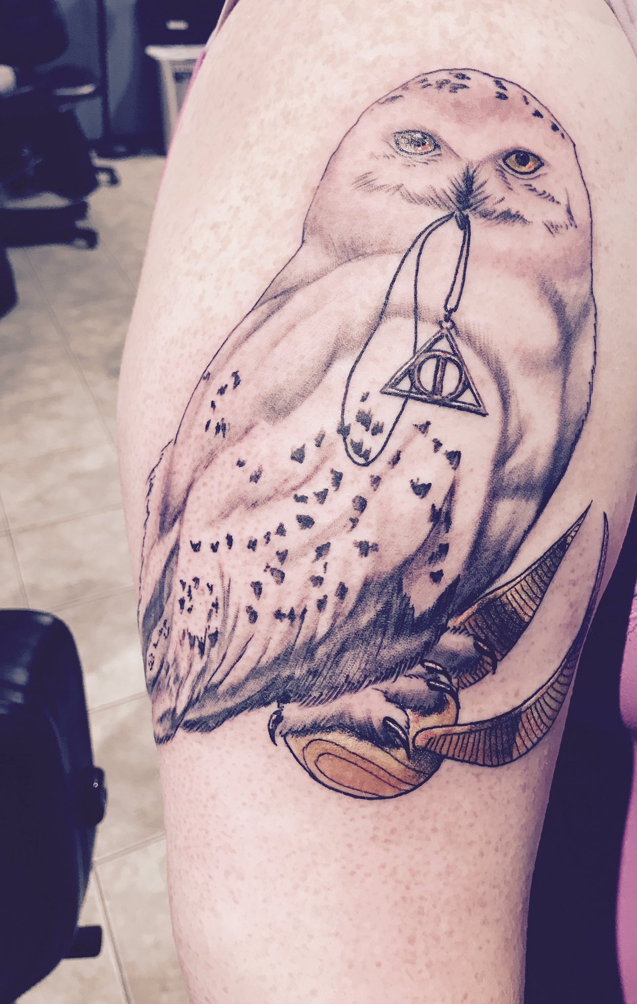 Cleverly Intricate Harry Potter Owl Tattoo Is More Than Meets The Eye   Gabbing Geek