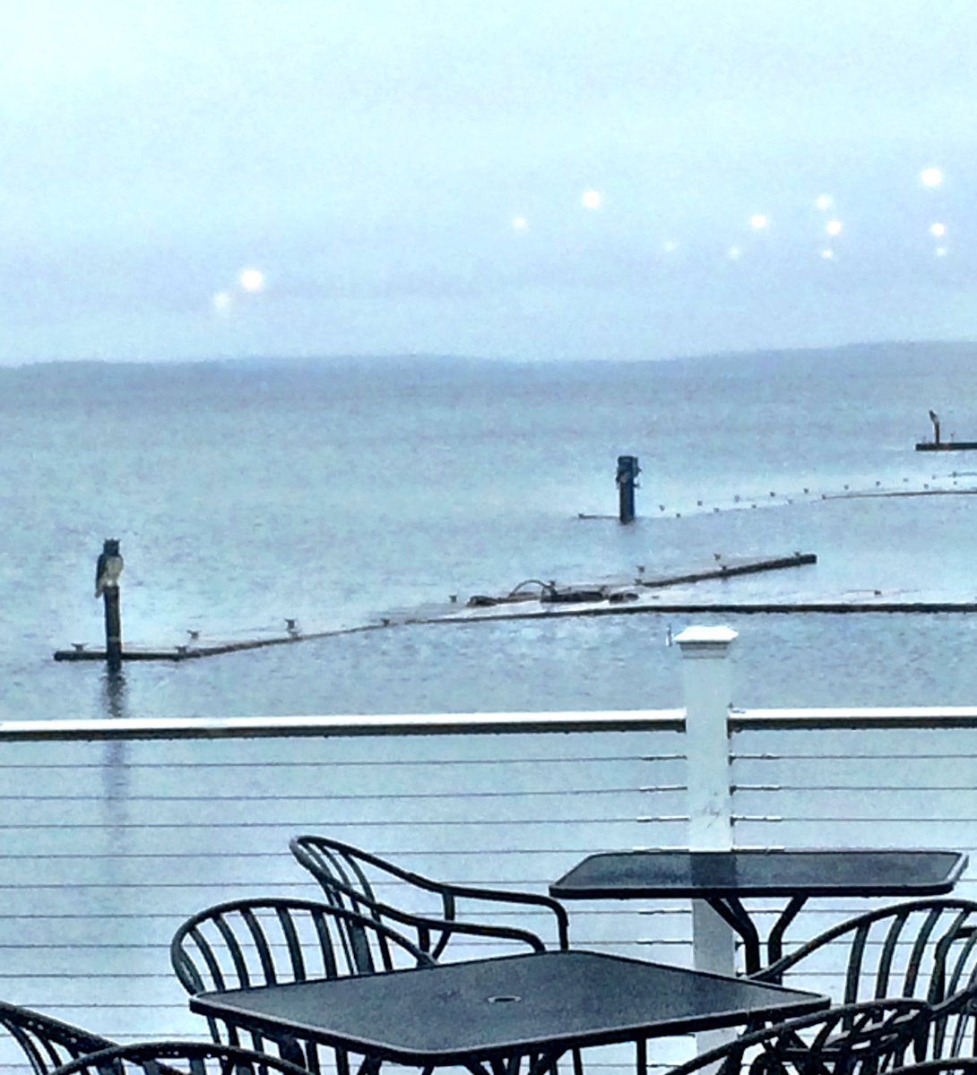 Sackets buzz tweet media