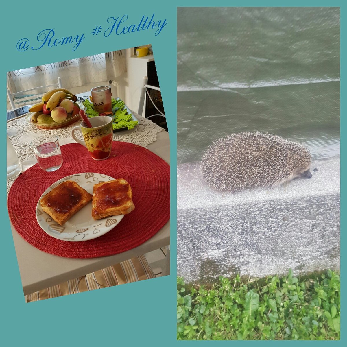 romypassaretti tweet picture