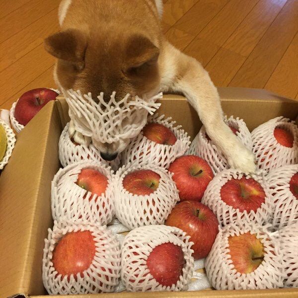 minimalismar's tweet photo. https://t.co/gip0AunYyp