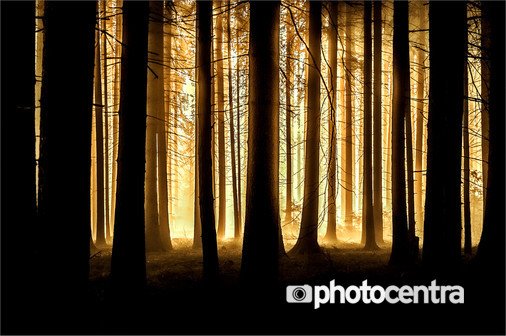 photocentra's tweet photo. https://t.co/unwscObcQp Без названия - Friedrich Beren #murwald #nebel #dunst #bäunme #фотограф #фотография #фотосайт #photocentra #природа https://t.co/zWUpkQp7Ni