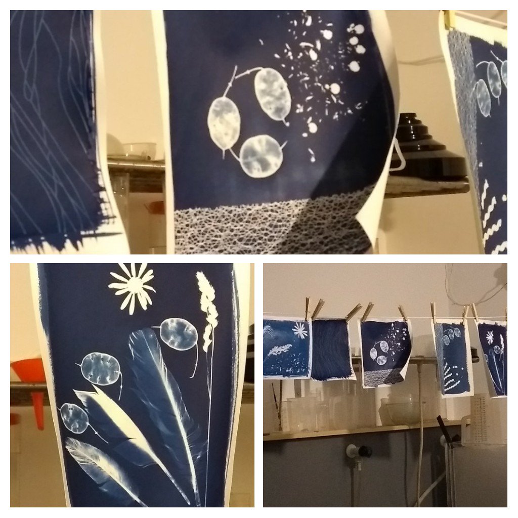 Another lovely friend gave me a gift of a 1-2-1 day at <a href="/oldprintingwrks/">TheOldPrintingWorks</a> 
Tutor Marion was lovely - &amp; I created 9 cyanotypes to take home 😀