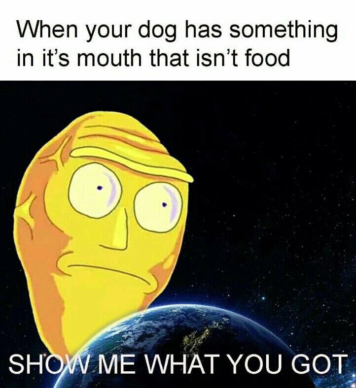 RickAndMortyLol's tweet photo. https://t.co/zQKmMrVpe4