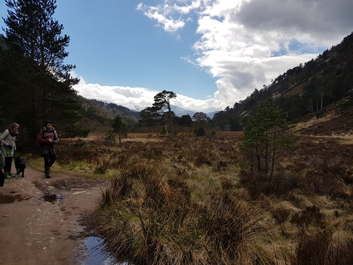 jcoles08's tweet photo. #highlandadventures #scotland #hiking #view #UK #physiosquad https://t.co/MuH1fDNnmB