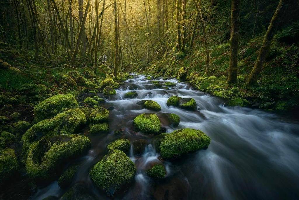 Photo from @steveschwindt - Gorton Creek - Image selected by <a href="/ericmuhr/">Eric Muhr</a> - Join us in exploring #Oregon, wherever yo… ift.tt/2pURp6y