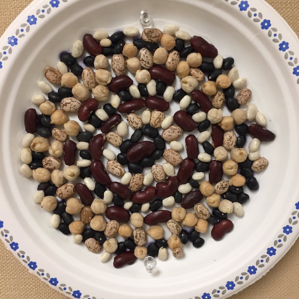 newsfromK124's tweet photo. Bean mandalas, made cooperatively... in silence. #podart #podmath @Self_Reg https://t.co/o2viieUGbm