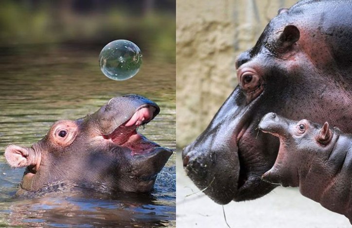 TurnThisPage tweet media