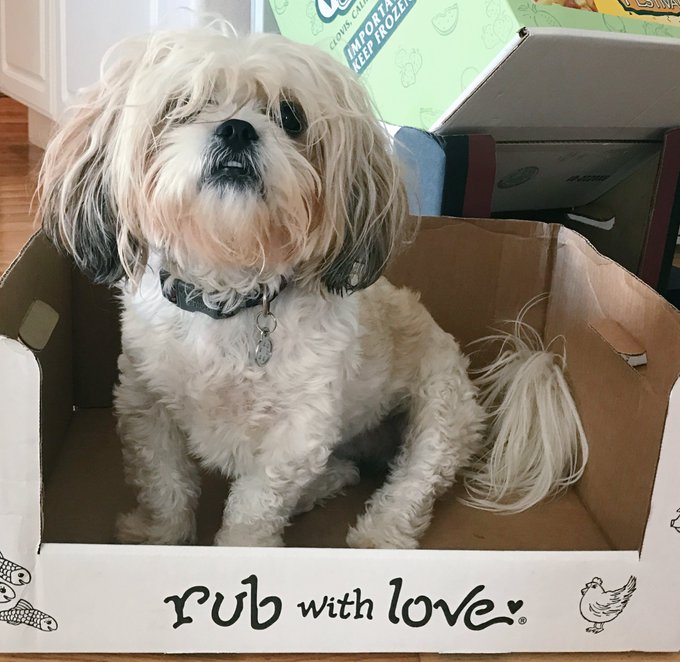 The Dog That Thought She Was A Cat, cc @darth https://t.co/XPZOzykZNw<a class="tags" target="_blank" title="On Twitter" href="/?out=eyJ0eXAiOiJKV1QiLCJhbGciOiJIUzUxMiJ9.eyJpYXQiOjE3MjM4MTI3MDUsImlzcyI6InR3cG9ybnN0YXJzLmNvbSIsIm5iZiI6MTcyMzgxMjcwNSwiZXhwIjoxNzU1MzQ4NzA1LCJyZWRpcmVjdF91cmwiOiJodHRwczovL3R3aXR0ZXIuY29tL2RhcnRoIn0.BW7EnBkI-dLhn2pp8EvOge88lHj_eUKDgiMCb_IEHyjaE4ID0VIgHl7c0un4ZW1ljwszQgEHxxy4tGXsPmW3FA">@darth</a>