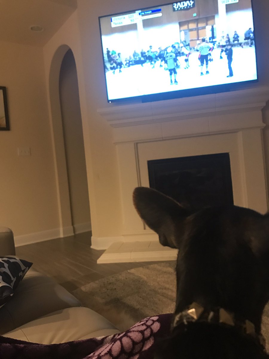 alison__joseph's tweet photo. #bigodogs #talk2wftda https://t.co/dl2MSoUNoT