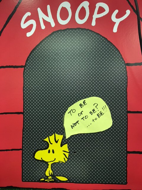 FineArtProfess's tweet photo. Conniston M.S. Spring Play is only $6.00 for a slice of pizza, a drink, and the show! Audience participation &amp; Concession! https://t.co/JRK3EGRA0E