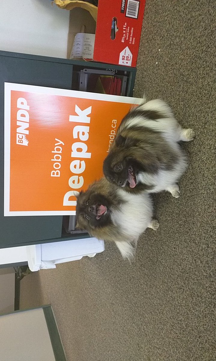 IvHayward's tweet photo. Lots of people in @BobbyDeepak1 's office today! #cityofPG #bcndp #bcndpaction #bcelxn17 #bcpoli https://t.co/NJJS394hup