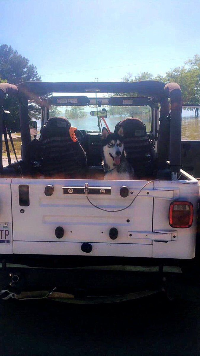 Sunday Funday at the lake with <a href="/KeithD25/">Keith daly</a> and our pups! Our #jeepdogs are worn out. <a href="/THEJeepMafia/">The Jeep Mafia</a>
