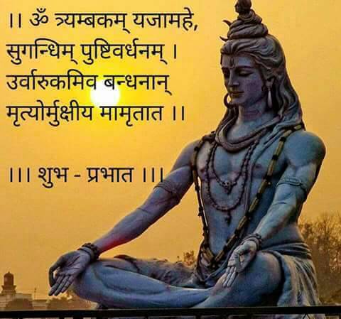 sunitasharma209's tweet photo. Suprabhat mitro. . https://t.co/384ZNJHOk7