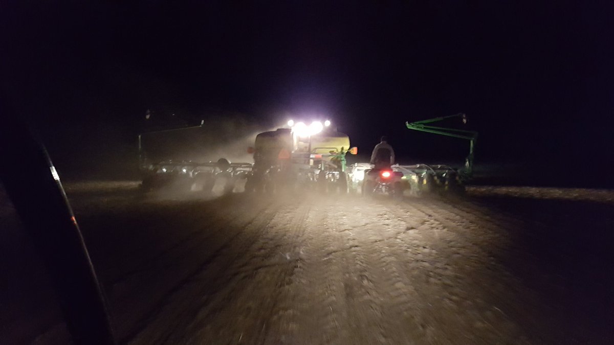 rwhitney11's tweet image. #cornplot at night. #mumfarms