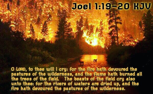 Uživatel Bible Verses Kjv Na Twitteru: „Joel 1:20 Kjv The Beasts Of The  Field Cry Also Unto Thee: For The Rivers Of Waters Are Dried Up, And The  Fire Hath Devoured The